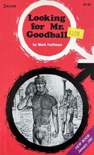 Looking for Mr Goodball paperback