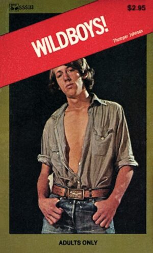 SSS-113 Wildboys!
