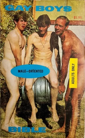 Gay Boys Bible paperback